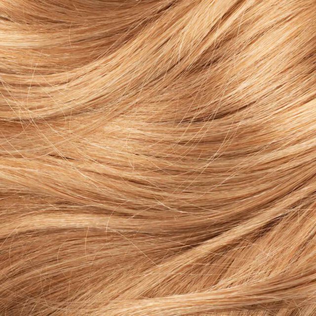 https://blondsalon.nl/wp-content/uploads/2021/09/background_image_01-640x640.jpg